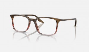 Ray Ban RB5421 Optics Men's Eyeglasses Brown | 49826-GIRM