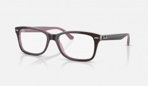 Ray Ban RB5428 Optics Men's Eyeglasses Pink | 17049-BVRF