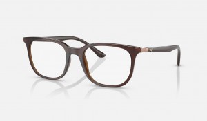 Ray Ban RB7211 Optics Men's Eyeglasses Brown | 24657-RVNG