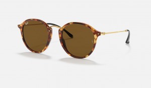 Ray Ban Round Fleck Men's Sunglasses Brown | 81509-KPYD