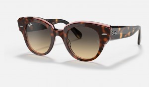 Ray Ban Roundabout Women's Sunglasses Brown | 10973-YIMU