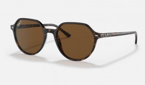 Ray Ban Thalia Men's Sunglasses Brown | 43528-PBHK