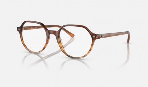 Ray Ban Thalia Optics Men's Eyeglasses Brown | 76452-AWNL