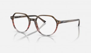 Ray Ban Thalia Optics Men's Eyeglasses Brown | 49102-DZUM