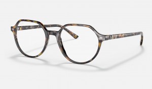 Ray Ban Thalia Optics Men's Eyeglasses Brown | 06851-CNBF