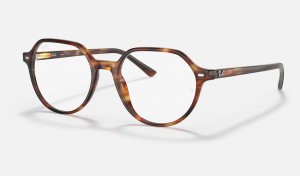 Ray Ban Thalia Optics Women's Eyeglasses Brown | 84170-QIFG