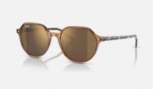 Ray Ban Thalia Women's Sunglasses Gold | 29831-WGAC