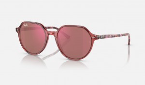 Ray Ban Thalia Women's Sunglasses Red | 75096-TIPY