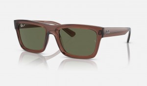 Ray Ban Warren Bio-based Men's Sunglasses Green | 03567-XUKZ