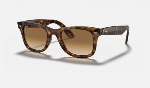 Ray Ban Wayfarer Ease Men's Sunglasses Brown | 68279-MZWN