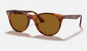 Ray Ban Wayfarer Ii Classic Men's Sunglasses Brown | 76351-CEXY