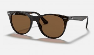 Ray Ban Wayfarer Ii Classic Men's Sunglasses Brown | 83729-ELBT