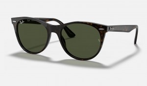 Ray Ban Wayfarer Ii Classic Men's Sunglasses Green | 43207-UMQK