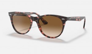 Ray Ban Wayfarer Ii Fleck Women's Sunglasses Brown | 56382-MJEX