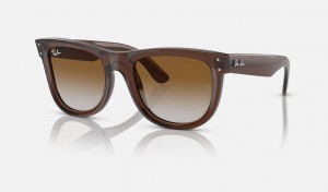 Ray Ban Wayfarer Reverse Men's Sunglasses Brown | 16837-JBPN