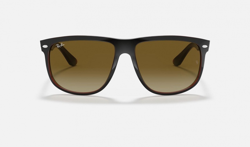 Ray Ban Boyfriend Women's Sunglasses Brown | 38126-GYIC