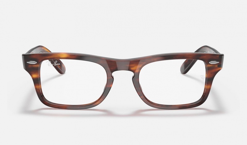 Ray Ban Burbank Optics Kids' Eyeglasses Brown | 07538-PEBH