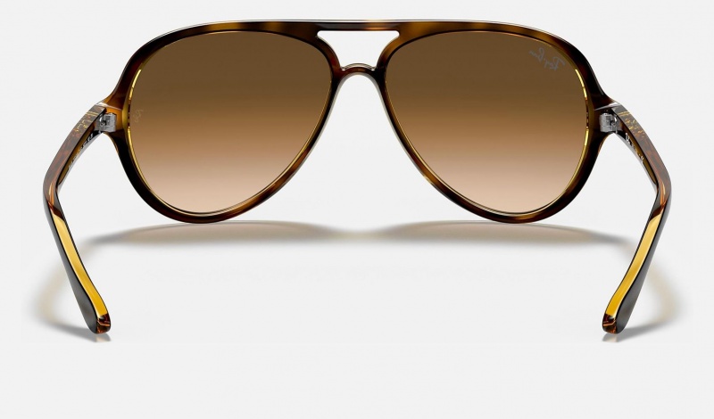 Ray Ban Cats 5000 Classic Men's Sunglasses Brown | 13687-GJKS