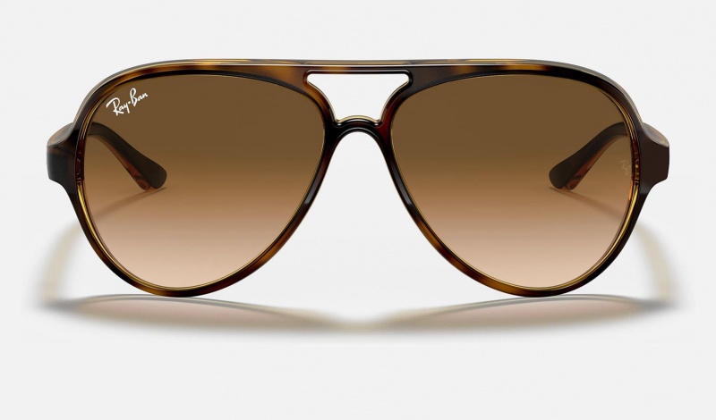 Ray Ban Cats 5000 Classic Women's Sunglasses Brown | 90752-LJVY