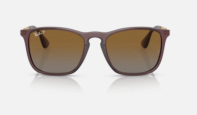 Ray Ban Chris Men's Sunglasses Brown | 36805-GLSH