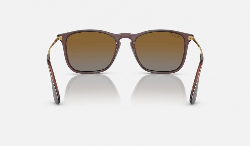 Ray Ban Chris Men's Sunglasses Brown | 36805-GLSH