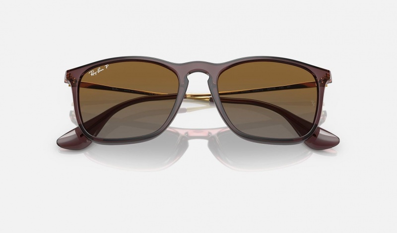 Ray Ban Chris Men's Sunglasses Brown | 36805-GLSH