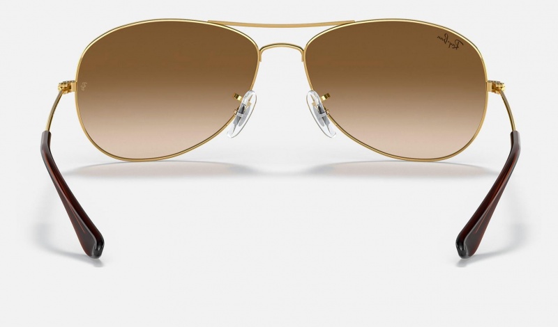 Ray Ban Cockpit Women's Sunglasses Brown | 40563-MQKV