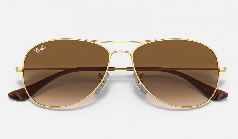 Ray Ban Cockpit Women's Sunglasses Brown | 40563-MQKV