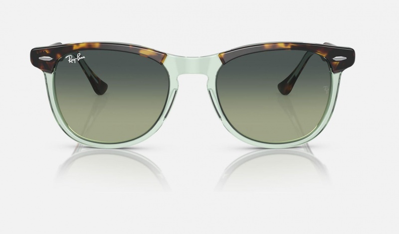 Ray Ban Eagle Eye Men's Sunglasses Green | 81925-HVLD