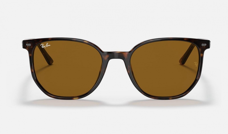 Ray Ban Elliot Men's Sunglasses Brown | 12547-EMLK