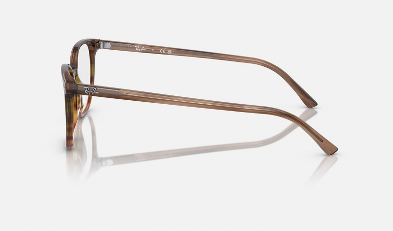 Ray Ban Elliot Optics Women's Eyeglasses Brown | 05784-EZSD