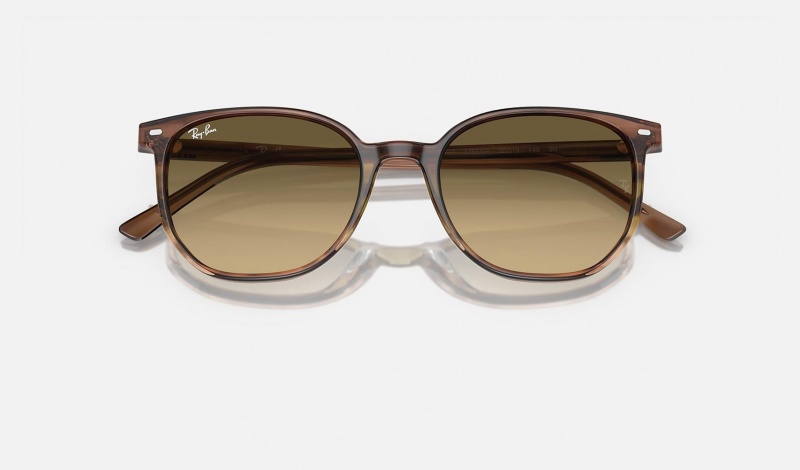 Ray Ban Elliot Women's Sunglasses Brown | 58073-JSBK