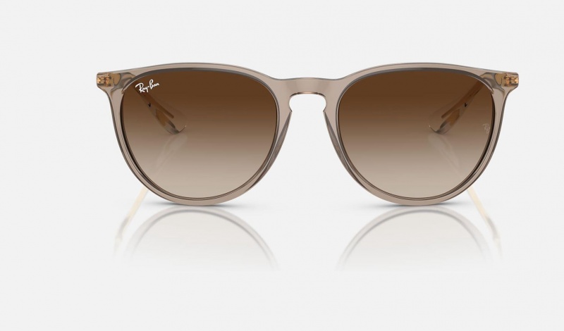 Ray Ban Erika Classic Men's Sunglasses Brown | 95408-THXV