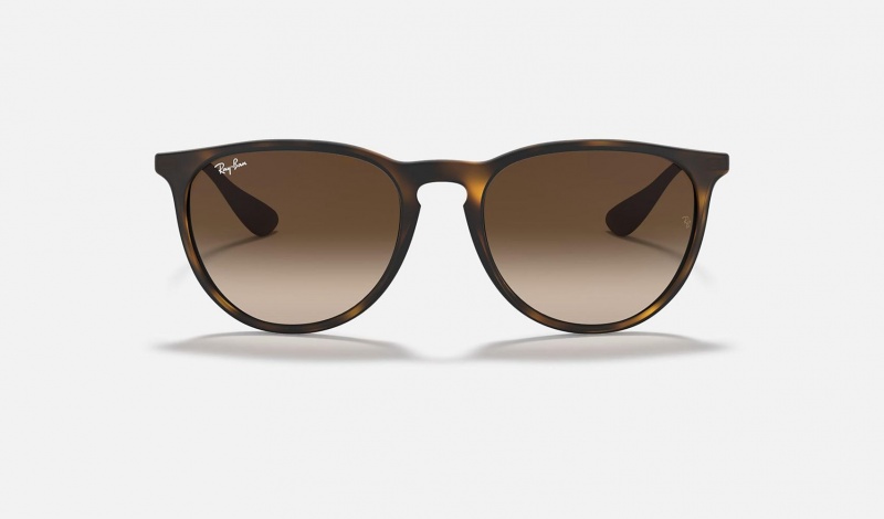 Ray Ban Erika Classic Men's Sunglasses Brown | 30582-FPML