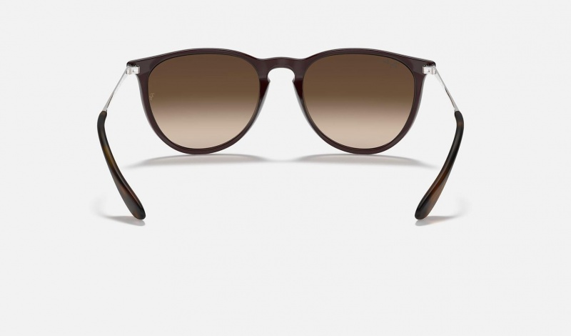 Ray Ban Erika Classic Men's Sunglasses Brown | 81590-TKQY