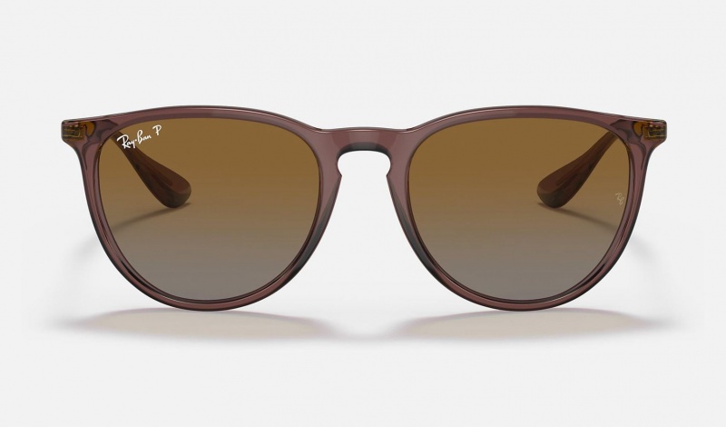 Ray Ban Erika Classic Women's Sunglasses Brown | 98105-TYBN