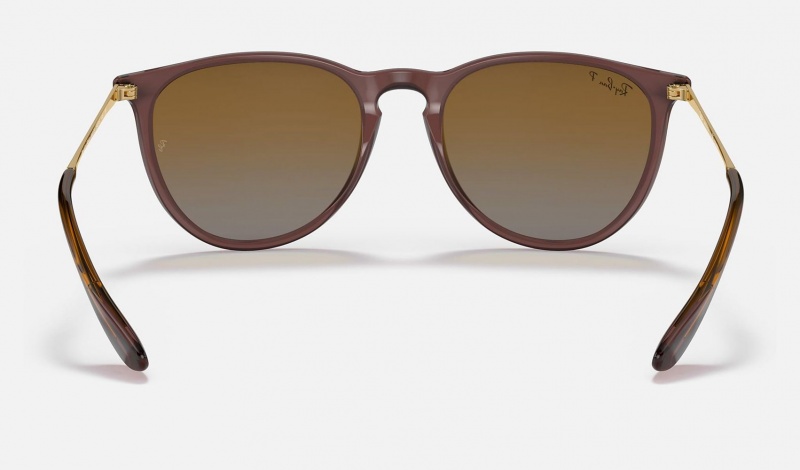 Ray Ban Erika Classic Women's Sunglasses Brown | 98105-TYBN