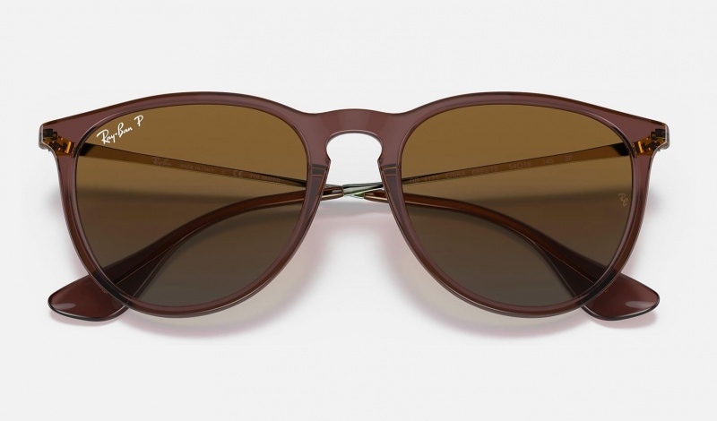 Ray Ban Erika Classic Women's Sunglasses Brown | 98105-TYBN