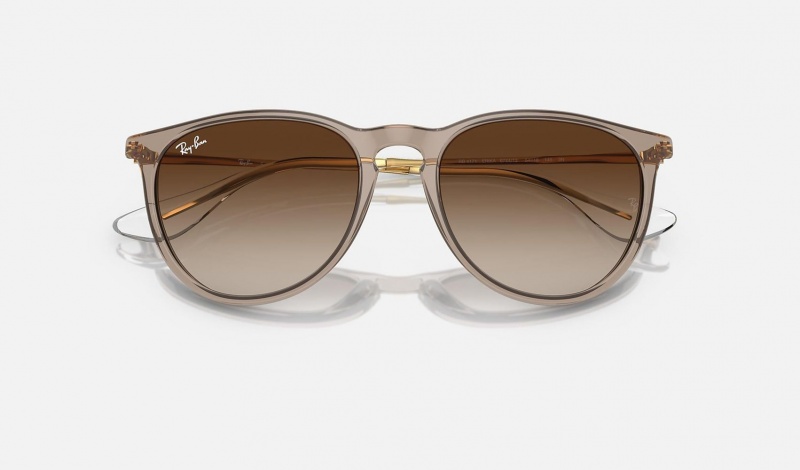 Ray Ban Erika Classic Women's Sunglasses Brown | 25790-TZLM