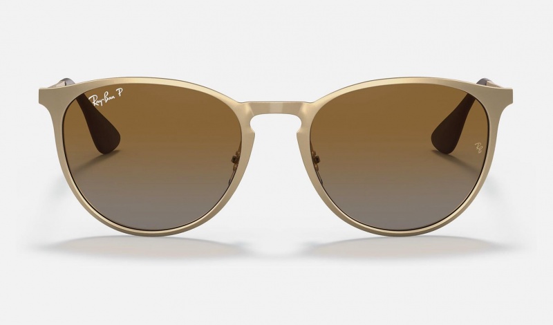 Ray Ban Erika Metal Men's Sunglasses Brown | 07538-FTEZ