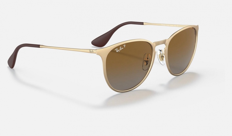 Ray Ban Erika Metal Men's Sunglasses Brown | 07538-FTEZ