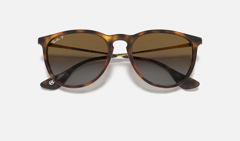 Ray Ban Erika @collection Men's Sunglasses Brown | 60729-KYXD