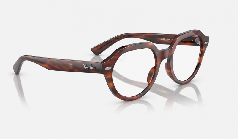 Ray Ban Gina Optics Women's Eyeglasses Brown | 18470-EPYU