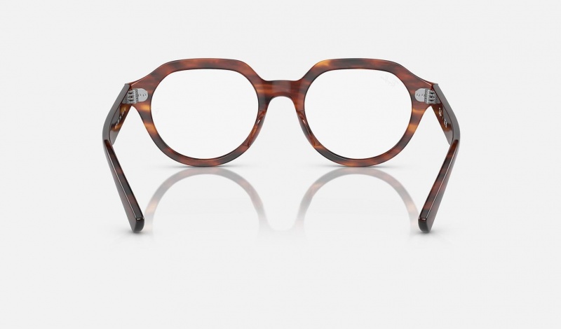 Ray Ban Gina Optics Women's Eyeglasses Brown | 18470-EPYU