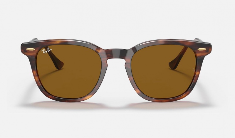 Ray Ban Hawkeye Men's Sunglasses Brown | 45802-GJAX