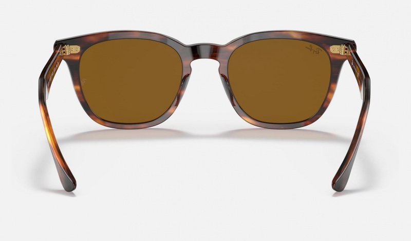 Ray Ban Hawkeye Men's Sunglasses Brown | 45802-GJAX