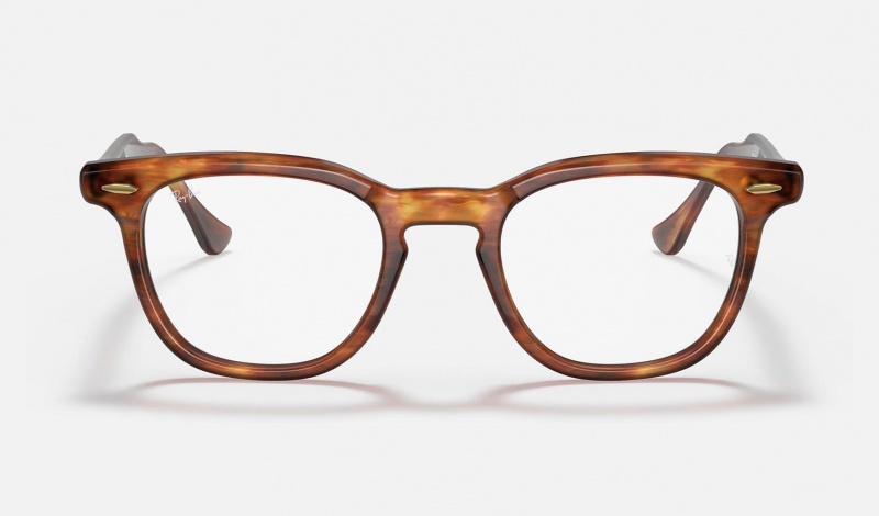 Ray Ban Hawkeye Optics Women's Eyeglasses Brown | 84395-ULRB