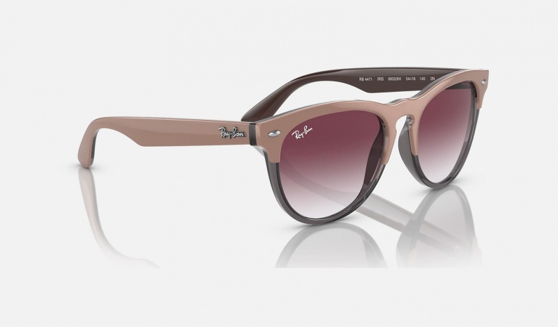 Ray Ban Iris Women's Sunglasses Purple | 23071-DMTE