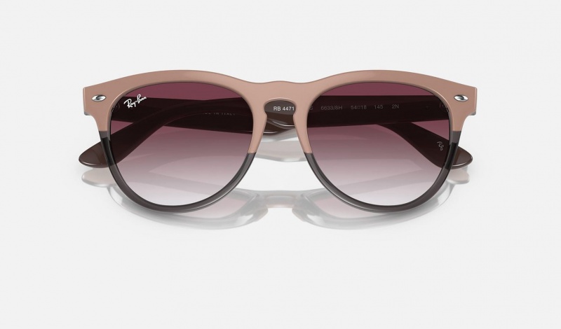 Ray Ban Iris Women's Sunglasses Purple | 23071-DMTE