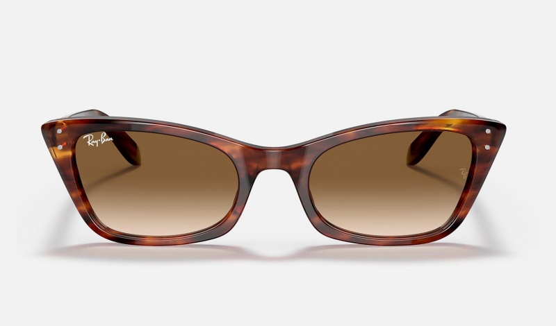 Ray Ban Lady Burbank Men's Sunglasses Brown | 32104-PJNS